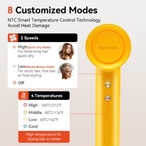 rizzdeek lightweight hair dryer, high speed 160,000 rpm 500m negative ions brushless blow dryer for frizz free shine, fast drying intelligent thermo control, quiet travel dryer with magnetic nozzle