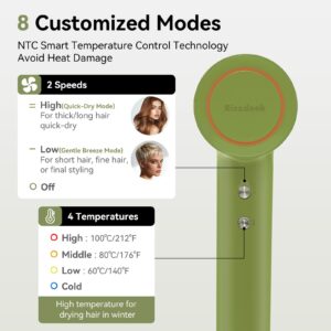 rizzdeek 160k rpm high speed dryer fast drying & frizz free shine