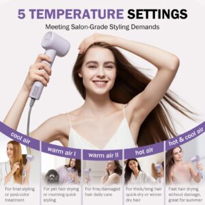 rizzdeek 160k rpm high speed brushless blow dryer 500m negative ions (复制)